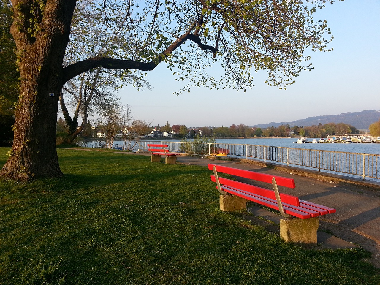 將選擇重回 將選擇重回