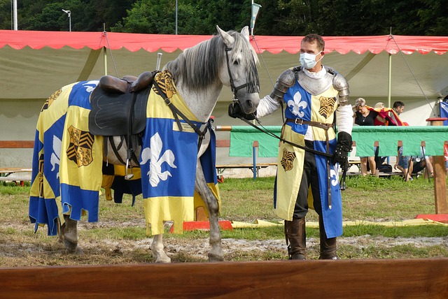 队的战略部 队的战略部