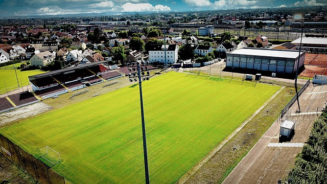 开信息来看 开信息来看