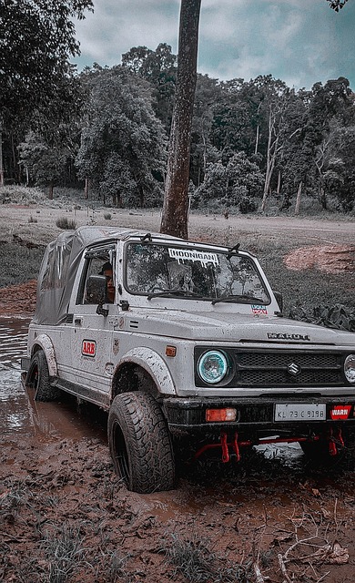 都将在赛场 都将在赛场