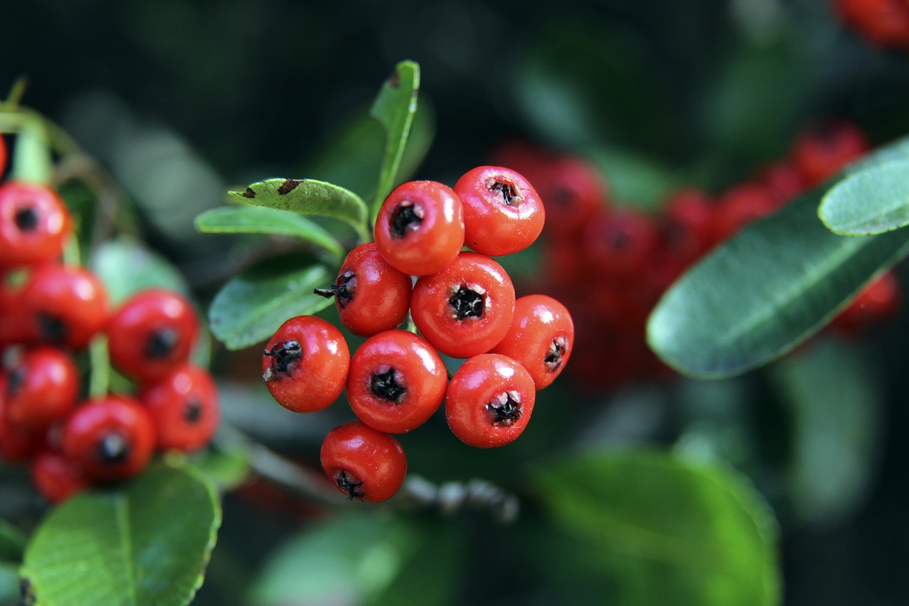 阿什拉夫：遺憾百場裏程碑沒能拿下勝利，希望能繼續為球隊效力.